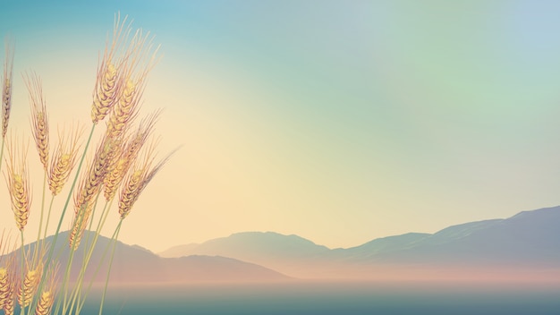 西咸新区管委会地址