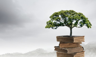 西咸新区管委会地址