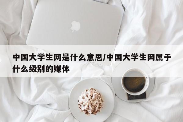 中国大学生网是什么意思/中国大学生网属于什么级别的媒体