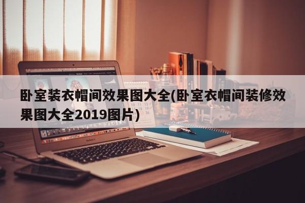 卧室装衣帽间效果图大全(卧室衣帽间装修效果图大全2019图片)
