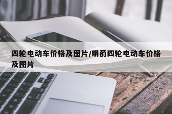四轮电动车价格及图片/明爵四轮电动车价格及图片
